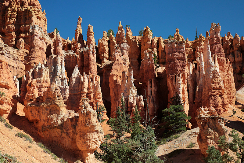 Bryce Canyon : Utah : Landscape Photos : Richard Moore : Photographer